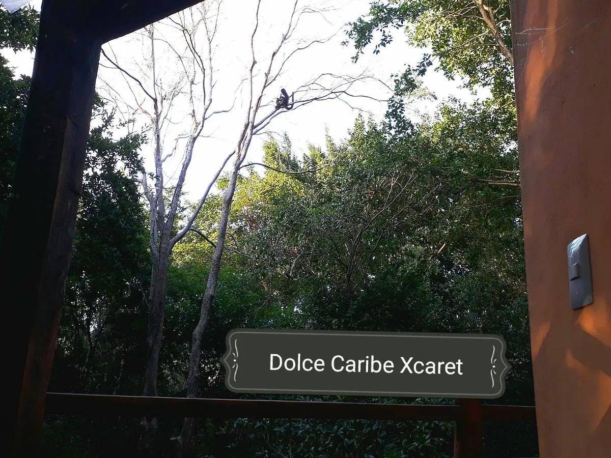 Dolce Caribe Xcaret Bed & Breakfast Playa del Carmen 2*,