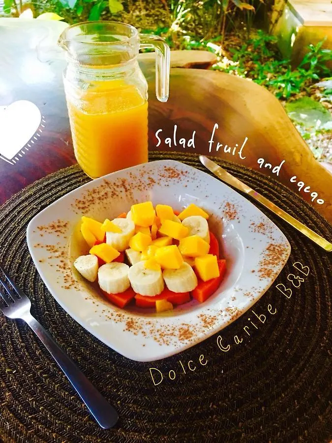 Bed & Breakfast Dolce Caribe Xcaret Bed and Breakfast Playa del Carmen