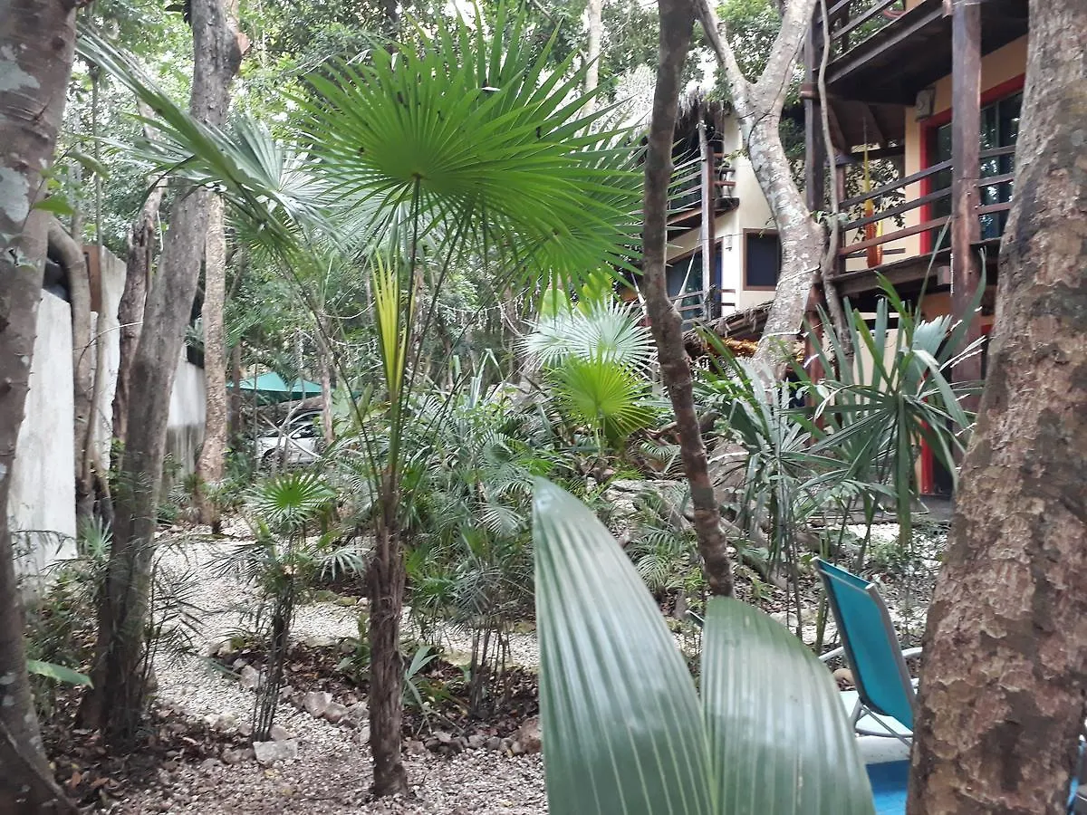 Dolce Caribe Xcaret Bed and Breakfast Playa del Carmen 2*,  Messico